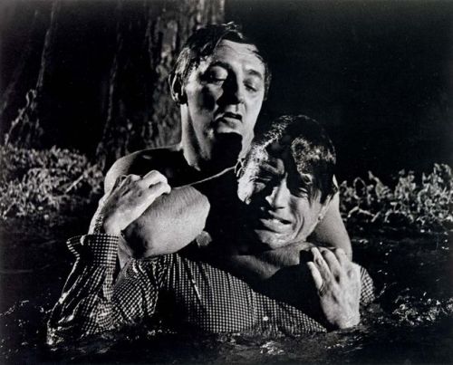 Robert Mitchum and Gregory Peck - Cape Fear - 1962 Nudes &