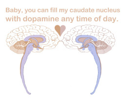 neuromorphogenesis:Happy Neuro-Valentines Day!Some good ones: Trying