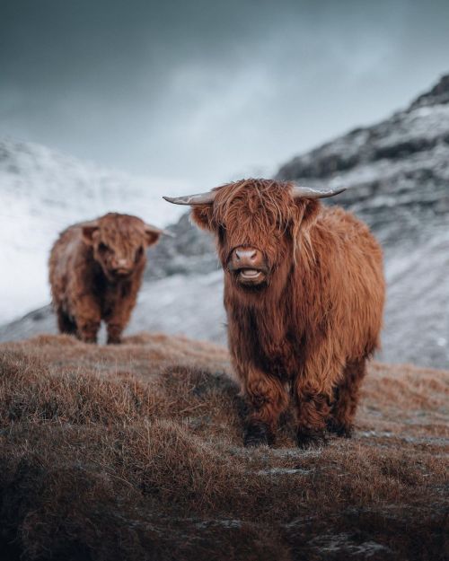 farmhousetouches:    Luke Stackpoole  