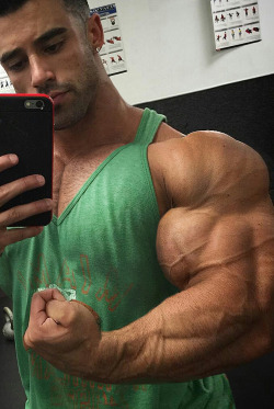 musclehunkymen:Huge Bicep!