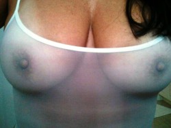 tabarro:   sheer milf nipples  gosh, anon, i love to see this