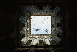 natgeofound:  A flock of birds fly up from an enclosed courtyard