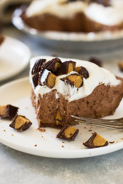 ilovedessert:Dark Chocolate Peanut Butter No Bake Cheesecake