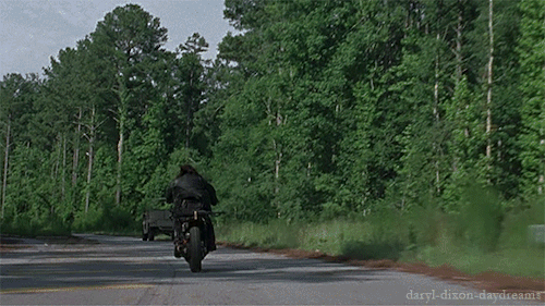 daryl-dixon-daydreams:  The infamous chase scene with Rick and