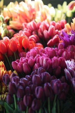 blogjadore:  ❤❤❤ 