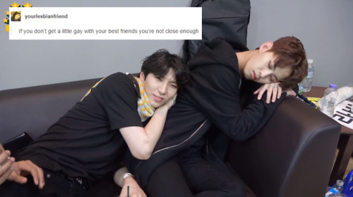 wonshiks-tiddy:VIXX   tumblr text posts [pt.1] [x]