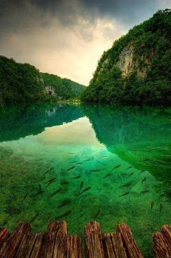 earthpics4udaily:  Green Lake - Plitvice - Croatia Click Here