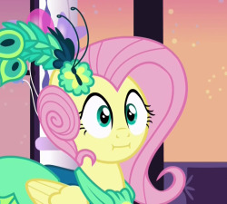 I forgot about this until now. PONESThis face is killing me.Flutters