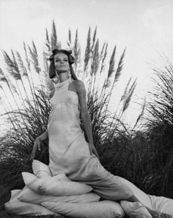 Veruschka photographed by Franco Rubartelli in Hawaii, 1968.