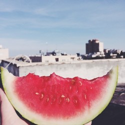 whatsuptrina:  Sun. Watermelon. Flatmates. Roof. Perfect. 🍉🍉🍉#watermelon