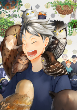 inkumo:  Small visit to an Owl Café in Tokyo!