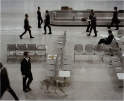 thenewloverofbeauty:Eve Sussman:  The Wolf in Tempelhof Airport,