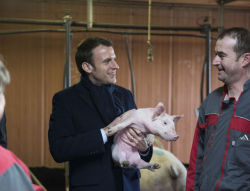 Emmanuel MacronFormatosi all'Università di Parigi-Nanterre,