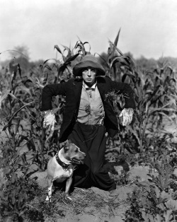 Buster Keaton & Luke the Dog - The Scarecrow, 1920’s.