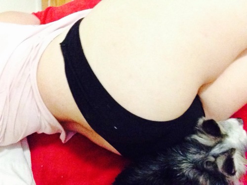 soysweetmilk:  Tryin to take a booty pic but my dog wonâ€™t get out the way ðŸ˜¤ðŸ˜… 