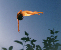 raieux:  Ryan Mcginley  