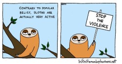 catwithbenefits:  infinitemonkeybusiness:  sloths  @nadathesloth