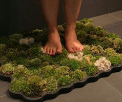 sixpenceee:  A moss bathroom shower mat! This living bathroom