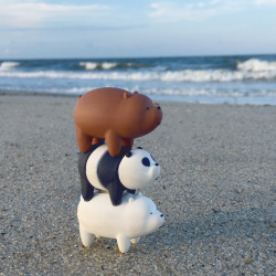 Hope you’re soaking up the sun like the We Bare Bear Bros!