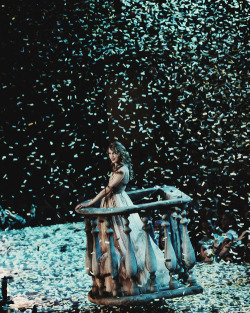  Confetti falls to the ground, may these memories break our fall.