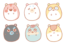 bamtsu:  chubby hamster club uwu  