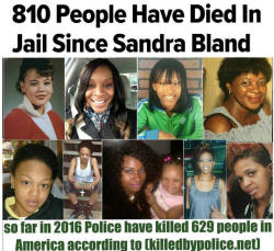 bellygangstaboo:   Since Sandra Bland’s death July 13, 2015