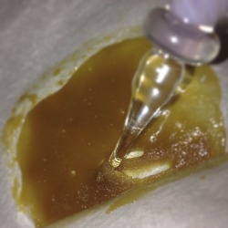 purebalancedlove:  Girl Scout cookies wax