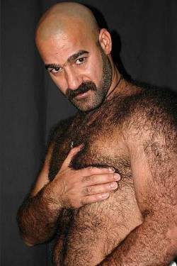 Handsome, hairy, hairy, and hairy - WOOF