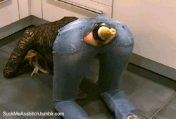 bigtoysdildos:  suckmeassbitch: Get ready the champagne! http://ift.tt/1F2EHyJ