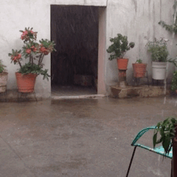 joaquinguzmanloeraa:  suenosmios:  Lluvia en México ❤️ 