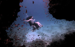 tedx:  Deep sea diving in a wheelchair! Artist Sue Austin takes