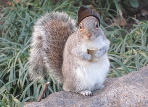 I’d rather be in the park havin’ coffee with the squirrels