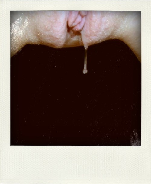 dripping-wet-pussies:  Tasty drop of girljuice  (via poladroidfreakteam) A gorgeous very excited shaved pussy right there! Â I love the taste of beautiful clear pussy juice in the morning…tastes like…victory!