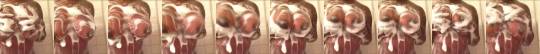 ebonyanon89:  Big Wet Soapy Titties