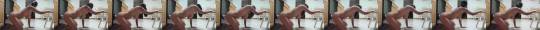 Sex Chat With Internet's Hottest Camgirls
