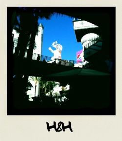 Sitting outside just behind me was Hollywood blvd