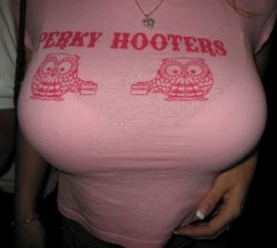 smoothieluv:  Perky Hooters   tight t shirt big tits wow