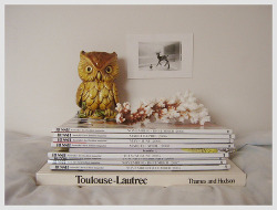 hospitalbeds:  eeylopsowls: motels   I live near where tolouse