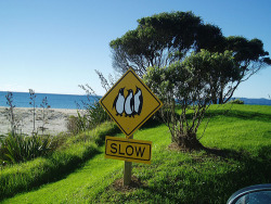 hidesawell:  lethifolds: I love that these signs exist.  :]