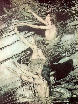  The Rhine Maidens by Arthur Rackham, 1912.