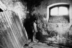 acc:  by Tara Violet photodreams:  Ella in the abandoned building
