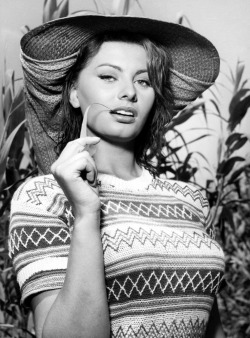 Sophia Loren La donna del fiume, 1954via: Music2MyEars