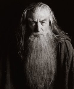 heartlesshippie:  speedyconkiwi:  Sir Ian McKellen in Lord of