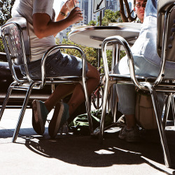 Under the Table photo: Sheila Newbery, 2009