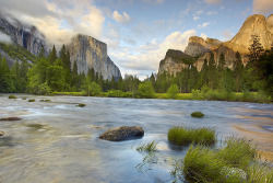 sanamivera:  Yosemite National Park  I will also go visit this