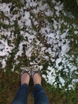 iamallycupcake:  Snow!