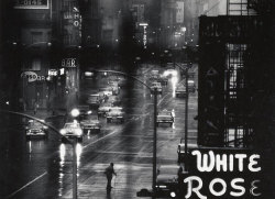 White Rose Bar sign from the 4th floor window of 821, 6th Avenue