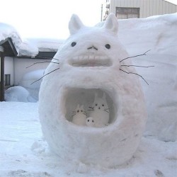 appledress:   (via kristinfarrout) I want this so baddddd if it snowsss!~  &lt;3   EEEE THIS IS TOO CUTE.