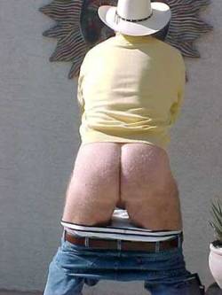 superbears:  BEAR BUTT(via photocub69)