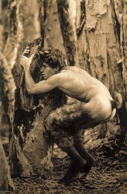 faun